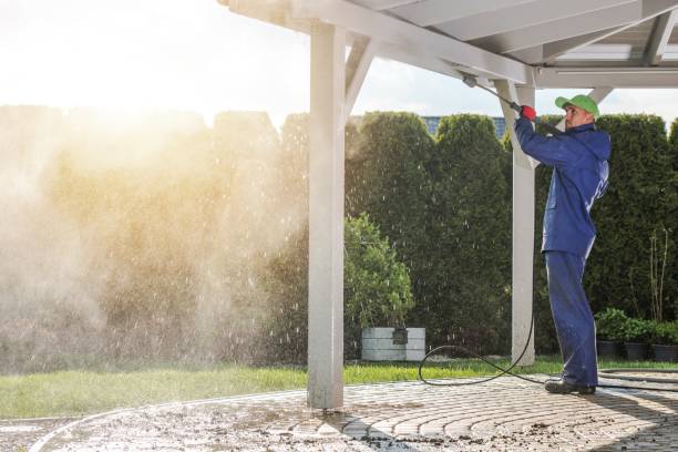 Best Spring Cleaning  in Kenton, TN