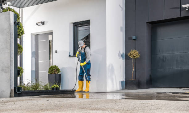 Best Dumpster Area Cleaning  in Kenton, TN